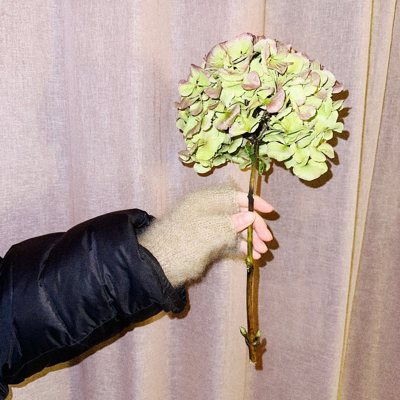 Garnkit: Fat Fur Light Wrist Warmers af Spektakelstrik (opskrift + garn)